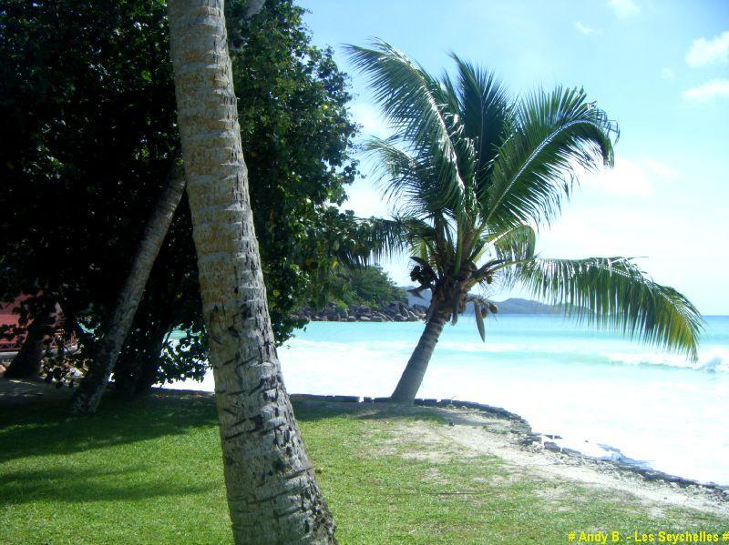 Hotel Paradise Sun sur Praslin (15).JPG